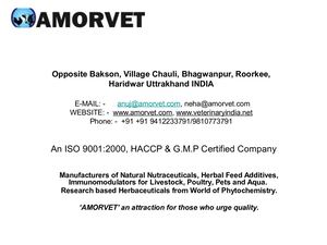 Amorvetupdate