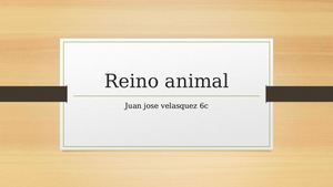 Reino Animal Juan Jose Velasquez 6c