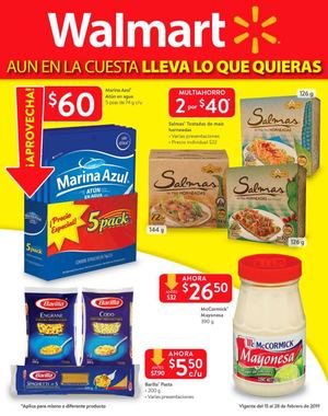 Walmart  - 2019/02/28 - Catálogo Walmart