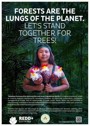 POSTER 1 50x70 Web