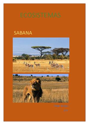 Ecosistemas Sabana