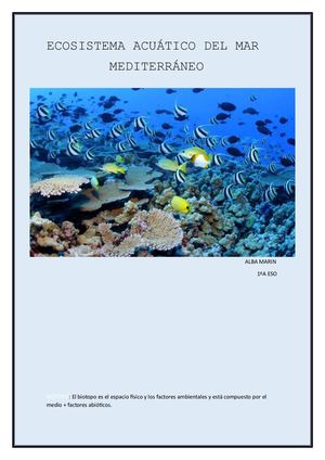 ECOSISTEMA ACUÁTICO DEL MAR MEDITERRANEO