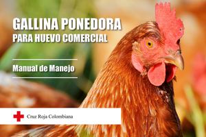 Manual Gallinas Ponedoras