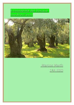 ECOSISTEMA DEL BOSQUE MEDITERRANEO