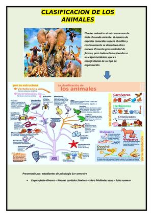 Cartilla Sobre La Clasificacion De Los Animales