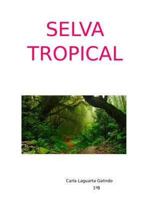 Selva Tropical