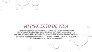 Mi Proyecto De Vida