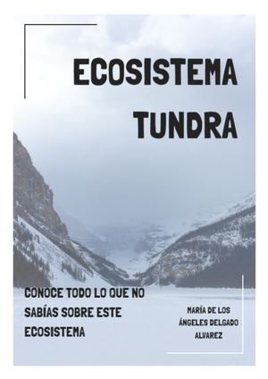 ECOSISTEMA TUNDRA