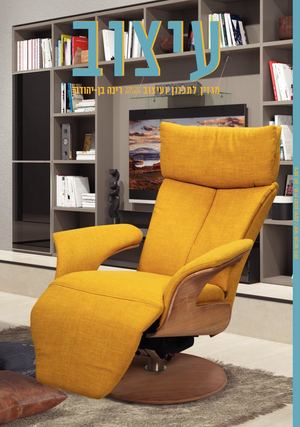 עיצוב 241 ינואר פברואר 19