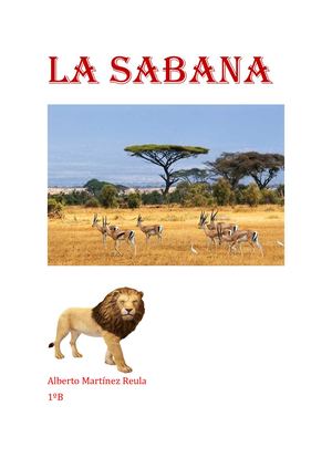La Sabana: Ecosistema
