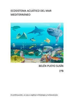 Ecosistema Acuático Del Mar Mediterráneo