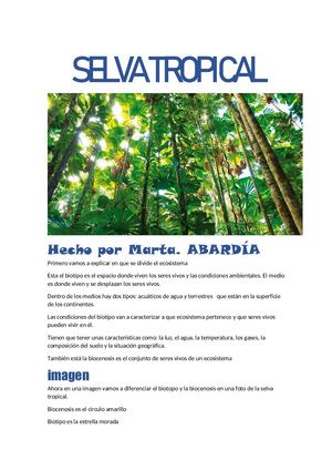 Selva Tropical Pdf