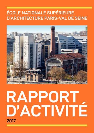 Rapport d'Activite 2017