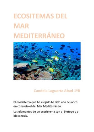Ecosistemas Del Mar Mediterraneo