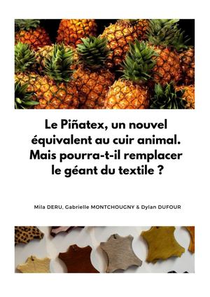 Le Piñatex, un nouvel équivalent du cuir. Mais pourra-t-il remplacer le géant du textile ?