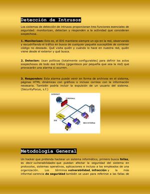 Detección De Intrusos