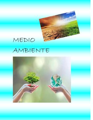 Medio ambiente