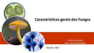 Características Gerais Dos Fungos