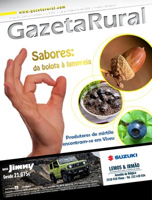 Gazeta Rural Nº 334