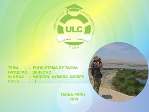 Ecosistema De Tacna