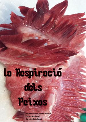 La Respiració Dels Peixos