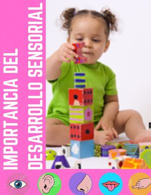 Importancia Del Desarrollo Sensorial