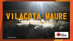 Ecosistemas De Tacna Pdf