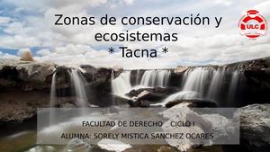 Area De Conservacion Vilacota Maure