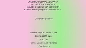 Diccionario Pictorico