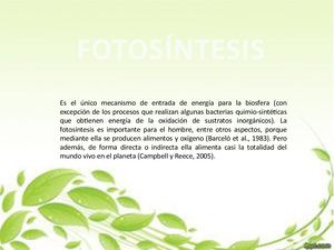 Fotosintesis