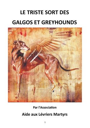 Le triste sort des galgos et des greyhounds