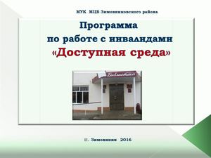 отчет о деятельности программы "Доступная среда" за 2016 год