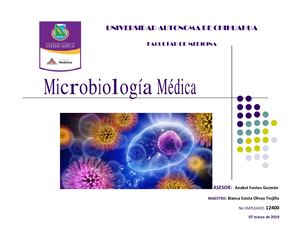 2 7 Actividad Integradora Tema 1 Microbiología