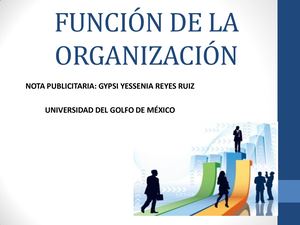 Función De La Organización Pdf