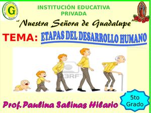 Etapas Del Desarrollo Humano