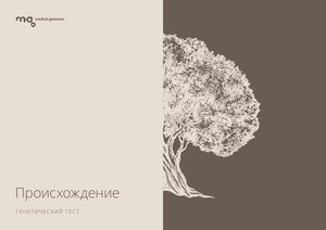 Заключение Pdf сжатый