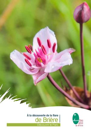 Flore et communautés végétales de Brière