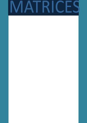 Matrices Y Sistema De Ecuaciones E Inecuaciones