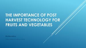 The Importance Of Post Harvest Technology For Fruits And Vegetables