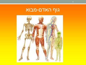 גוף האדם כמערכת1