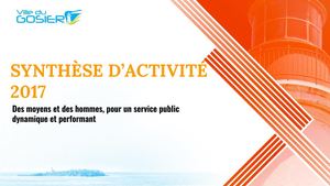 Synthèse rapport d'activité Gosier 2017