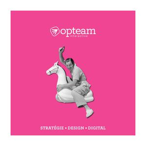 Opteam Portfolio