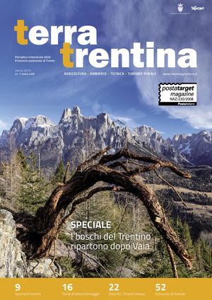 Terra trentina nr. 1