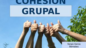 La Cohesión Grupal