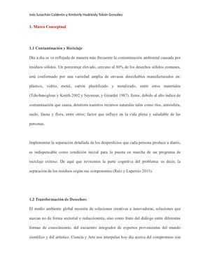 Algo Del Marco Conceptual Del Proyecto