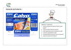 Ficha plan lector