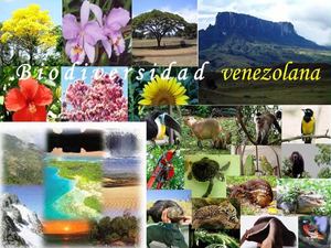 Biodiversidad En Venezuela