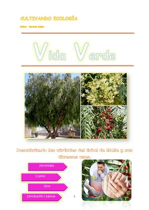 Tarea N2 Balbin Espejo Maricela Revista Online Molle (1)