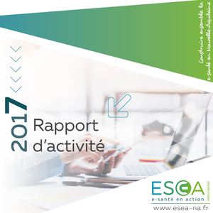 Rapport Activité Esea 2017