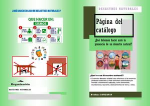 Los Desatres Naturales